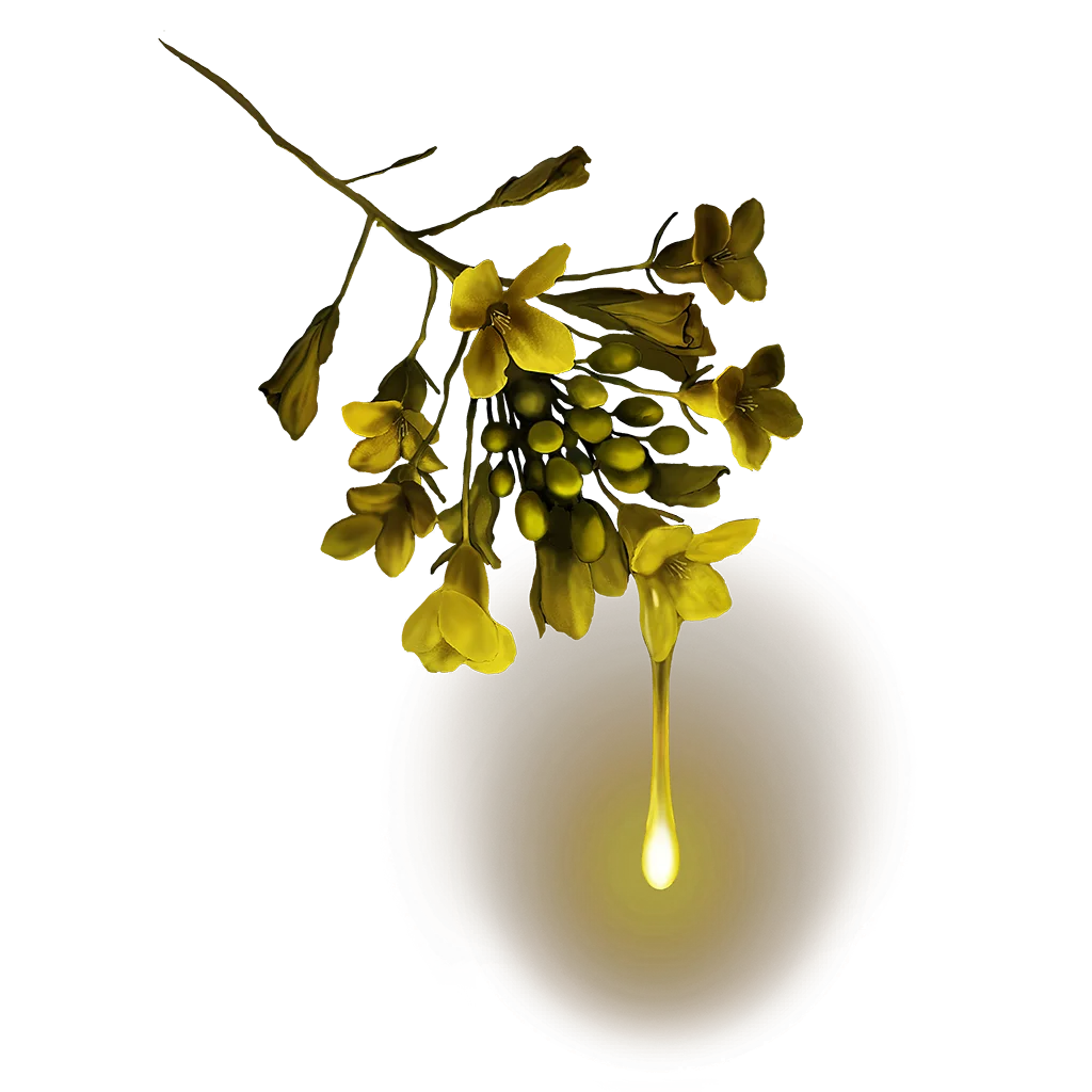 golden-dew
