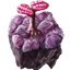 fct.term.item_artificial_jellynut_soil
