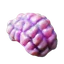 fct.term.item_jellynut