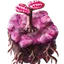 fct.term.item_overgrowth_jellynut_soil