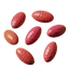 fct.term.item_yumako_seed