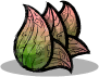 lettuce