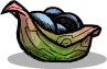 mushroom-wrap