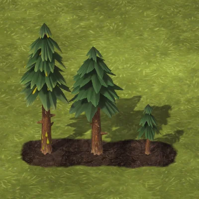 pine